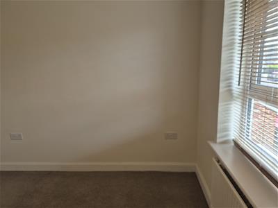 Picture 27